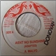 A. Malvo / Danny Dread - Aent No Sunshine / Prophet